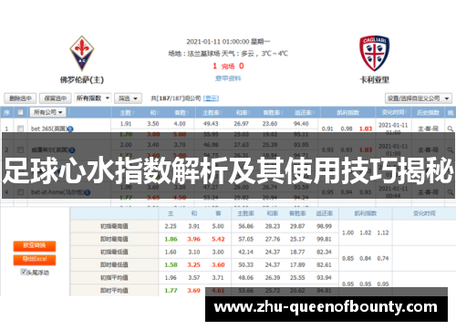 足球心水指数解析及其使用技巧揭秘