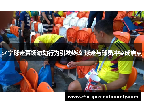 辽宁球迷赛场激动行为引发热议 球迷与球员冲突成焦点